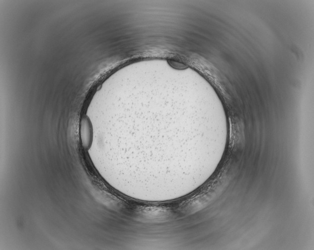 X0000111620348200908281118