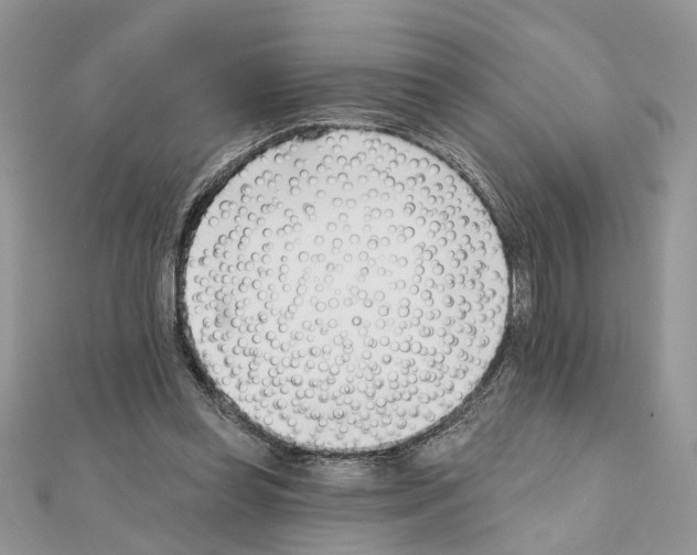 X0000111620349200908281118