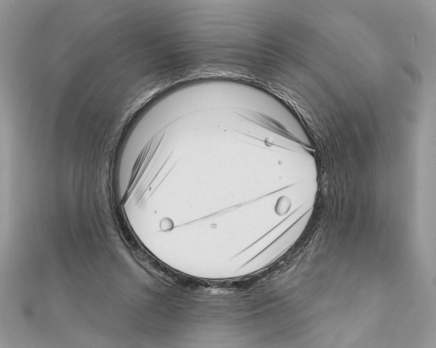 X0000111620352200908281118