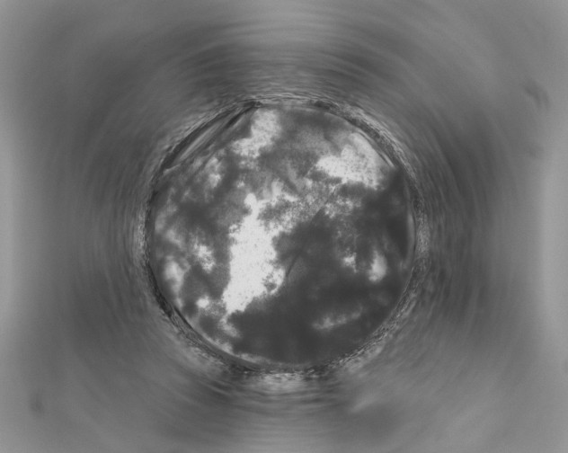 X0000111620353200908281118