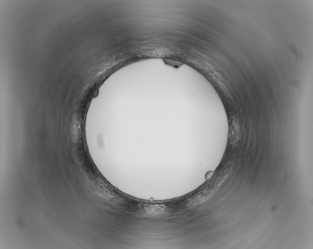 X0000111620355200908281118