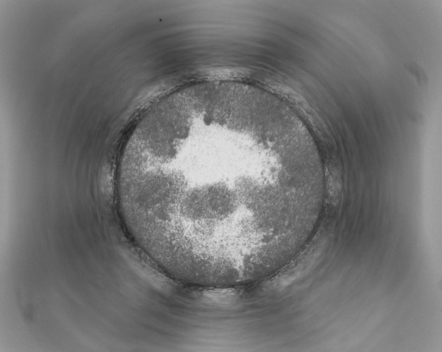 X0000111620357200908281118