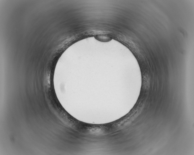 X0000111620358200908281118