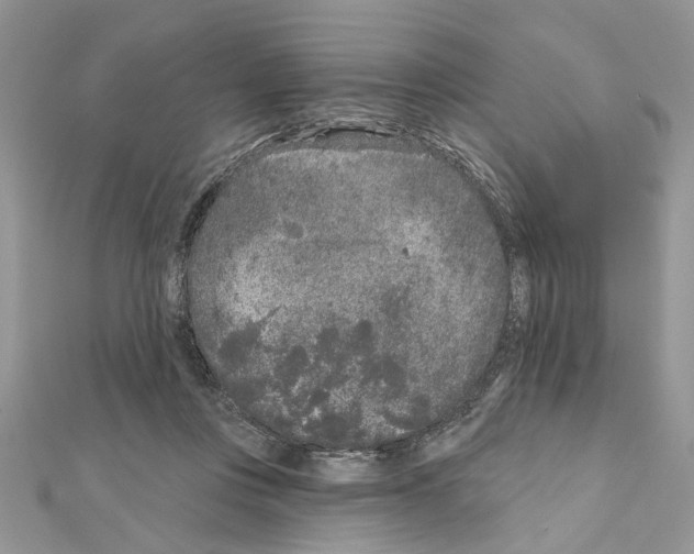 X0000111620359200908281118