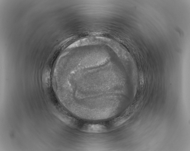 X0000111620360200908281118