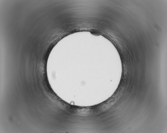 X0000111620362200908281118