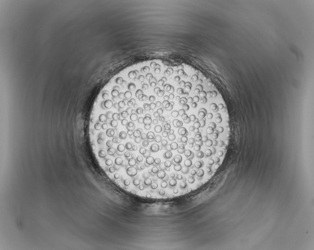 X0000111620366200908281118