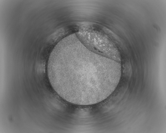 X0000111620368200908281118