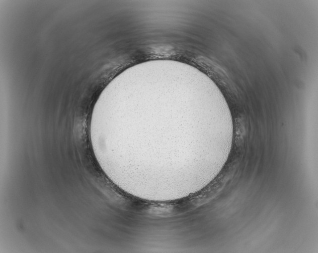 X0000111620369200908281118