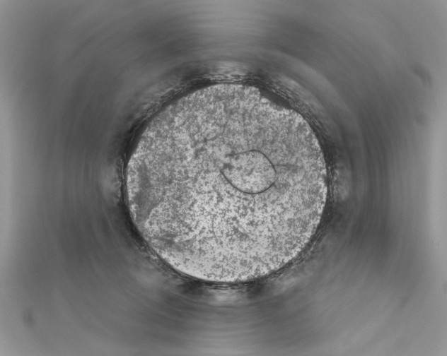 X0000111620370200908281118