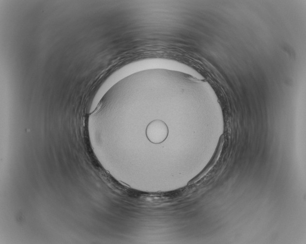 X0000111620372200908281118