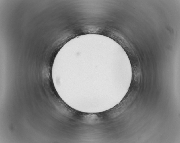 X0000111620374200908281118