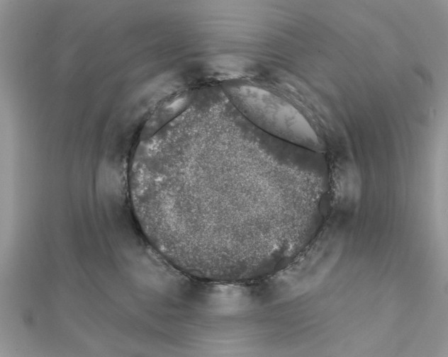 X0000111620376200908281118