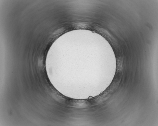 X0000111620377200908281118