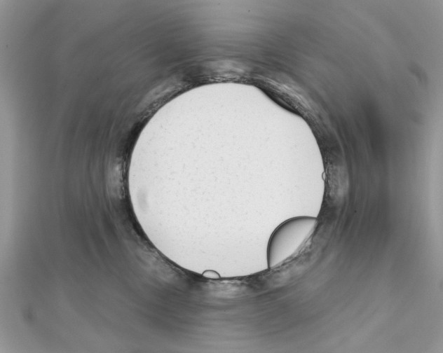 X0000111620378200908281118