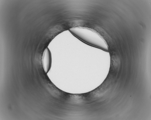 X0000111620380200908281118