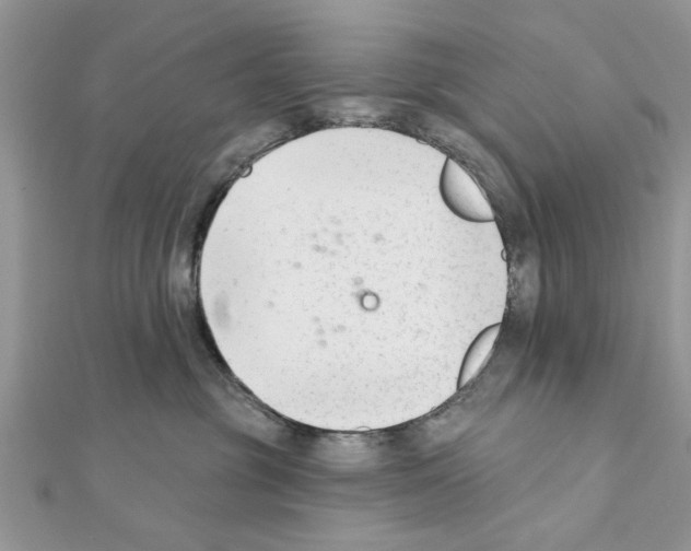 X0000111620381200908281118