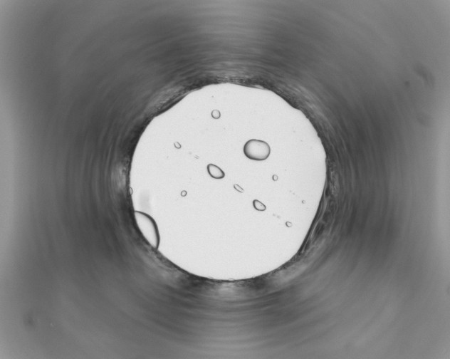 X0000111620382200908281118