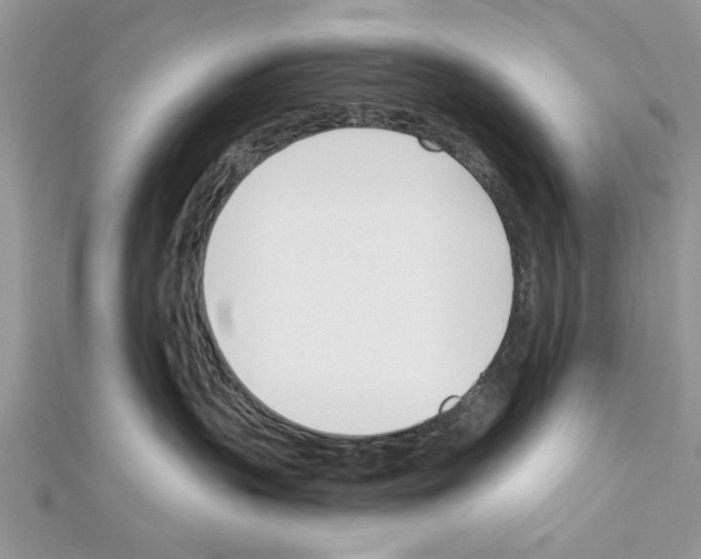 X0000111620383200908281118