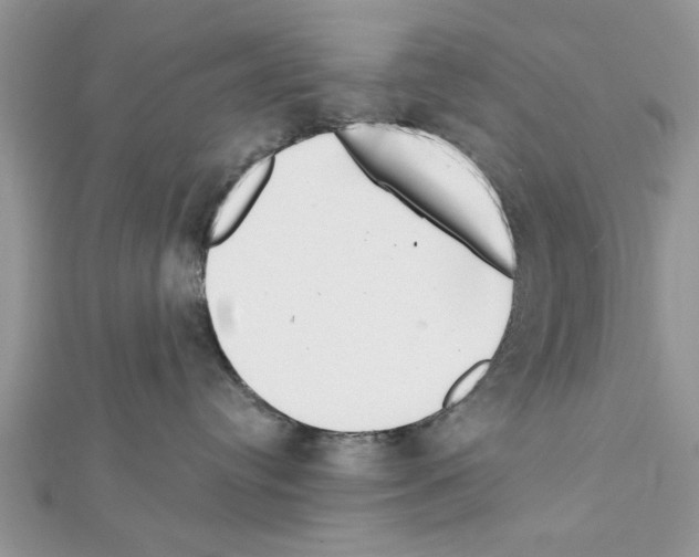 X0000111620384200908281118