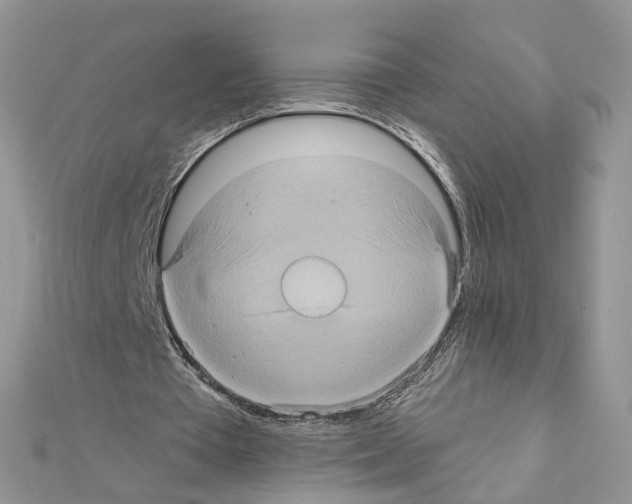 X0000111620385200908281117