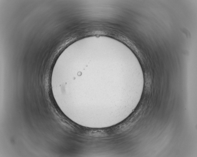 X0000111620386200908281117