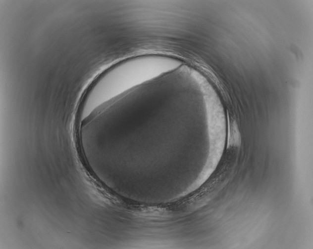 X0000111620387200908281117