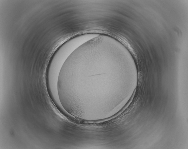 X0000111620389200908281117