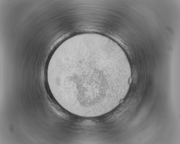 X0000111620390200908281117