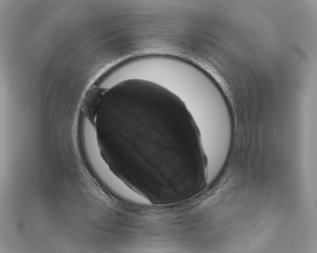 X0000111620391200908281117