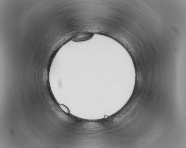 X0000111620397200908281117