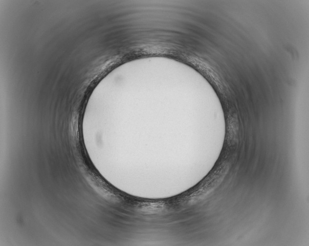 X0000111620398200908281117