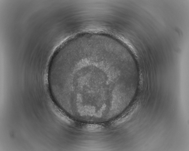 X0000111620399200908281117