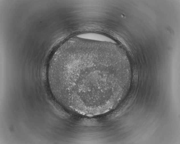 X0000111620403200908281117