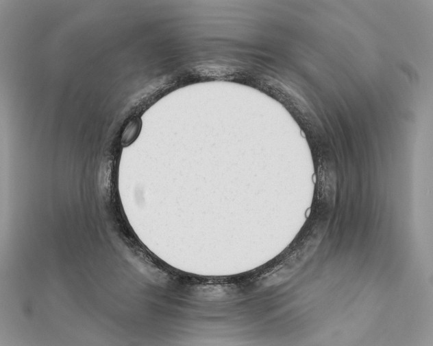 X0000111620404200908281117