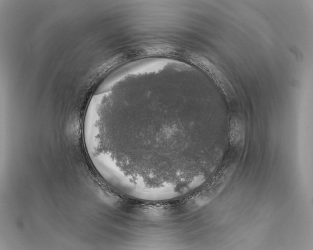 X0000111620405200908281117