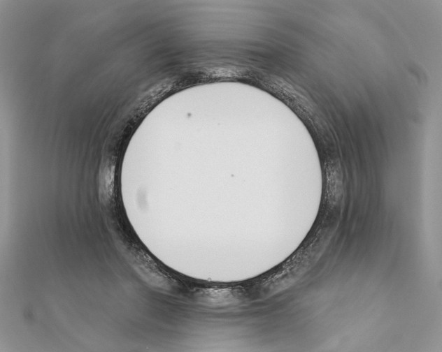 X0000111620406200908281117