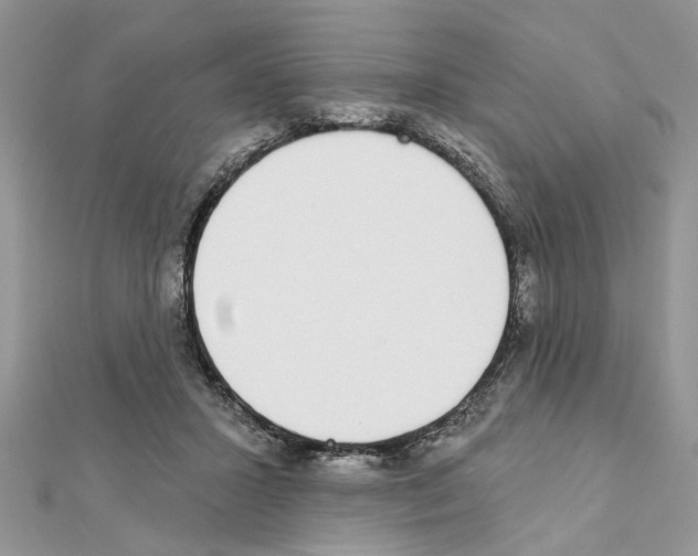 X0000111620407200908281117