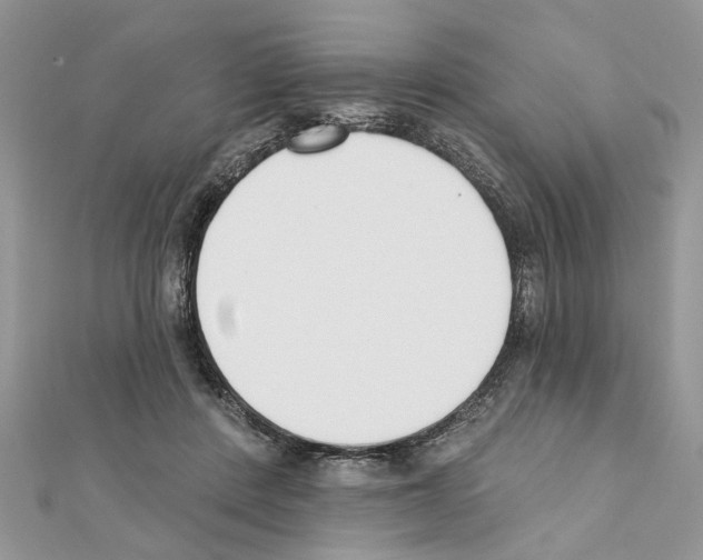 X0000111620408200908281117