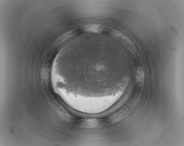 X0000111620409200908281117