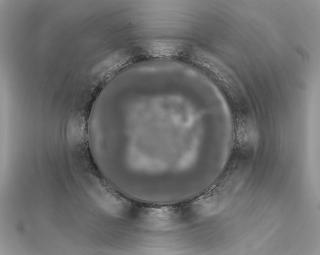 X0000111620411200908281117