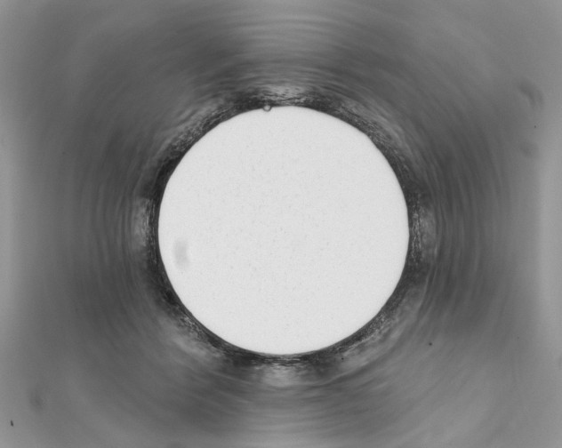 X0000111620412200908281117