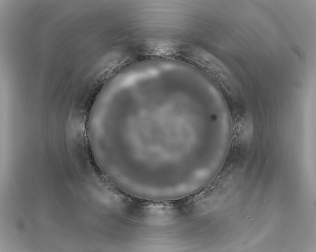 X0000111620415200908281117