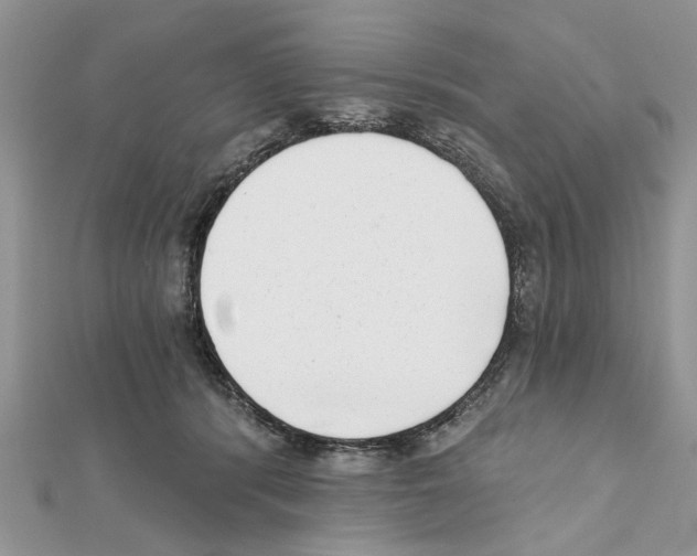 X0000111620416200908281117