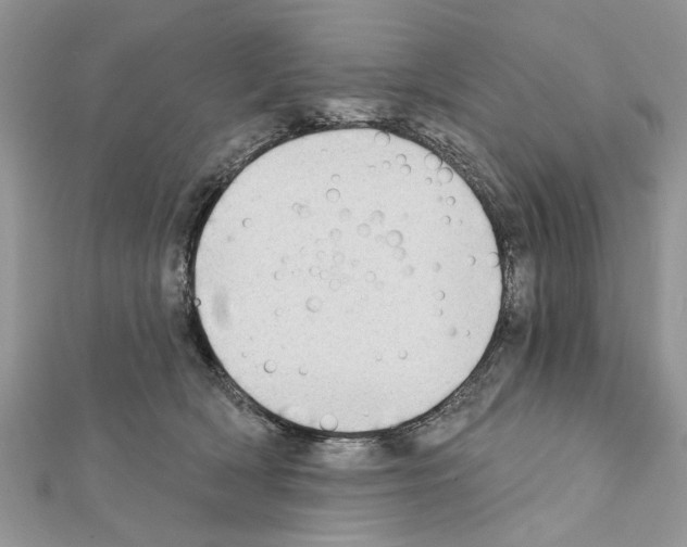 X0000111620418200908281117