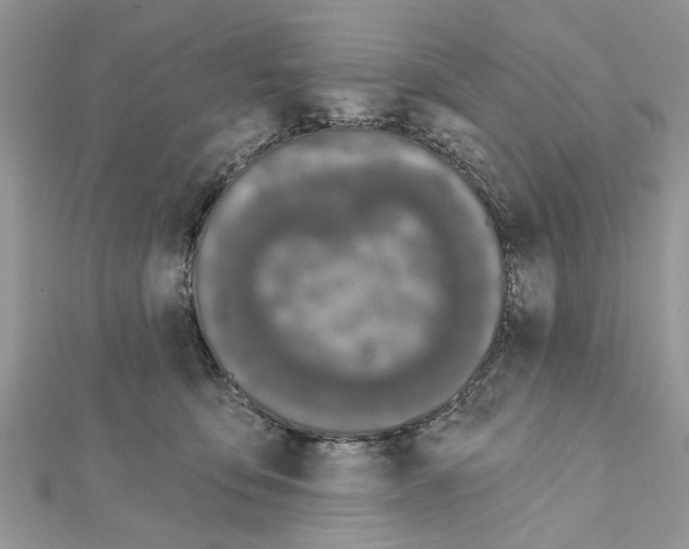 X0000111620419200908281117