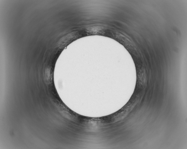 X0000111620420200908281117