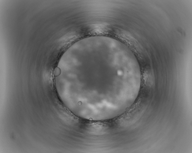 X0000111620423200908281117