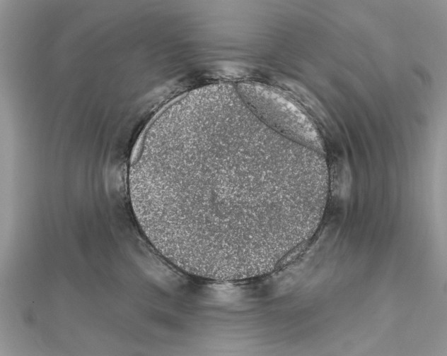 X0000111620425200908281117