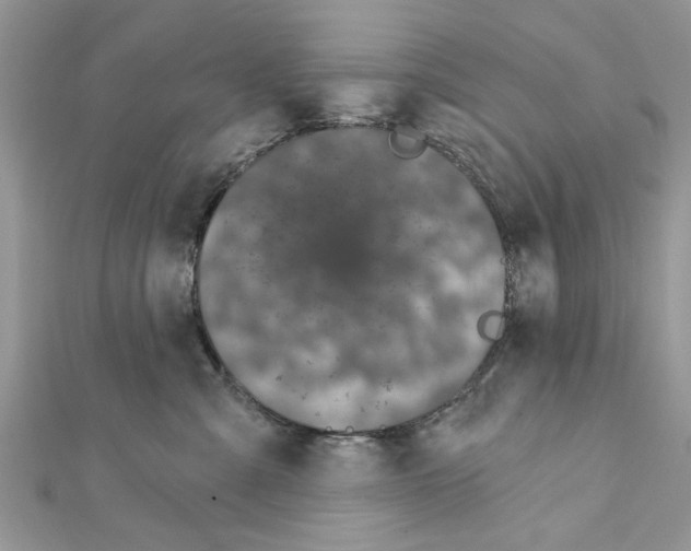 X0000111620427200908281117